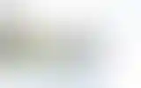 Blurred archive preview