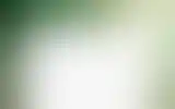 Blurred archive preview