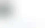Blurred archive preview