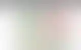 Blurred archive preview