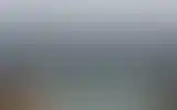 Blurred archive preview