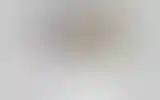 Blurred archive preview