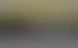Blurred archive preview