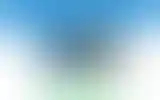 Blurred archive preview