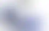 Blurred archive preview