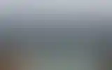 Blurred archive preview
