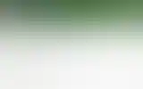 Blurred archive preview