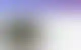 Blurred archive preview