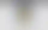 Blurred archive preview