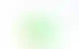 Blurred archive preview