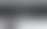 Blurred archive preview