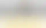 Blurred archive preview