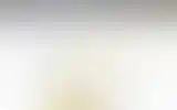 Blurred archive preview