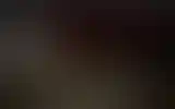 Blurred archive preview