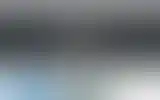 Blurred archive preview