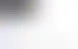 Blurred archive preview
