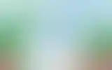 Blurred archive preview