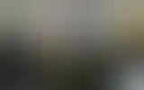 Blurred archive preview