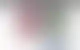 Blurred archive preview