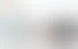 Blurred archive preview