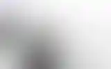 Blurred archive preview