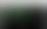 Blurred archive preview