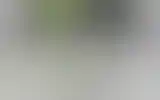 Blurred archive preview