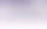 Blurred archive preview