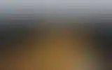 Blurred archive preview