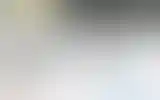 Blurred archive preview