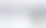 Blurred archive preview