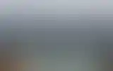 Blurred archive preview