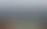 Blurred archive preview