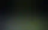 Blurred archive preview