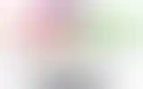 Blurred archive preview