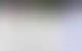 Blurred archive preview