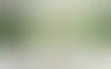 Blurred archive preview