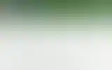 Blurred archive preview