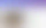 Blurred archive preview
