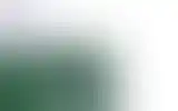 Blurred archive preview