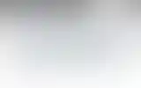 Blurred archive preview