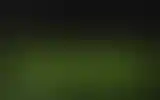 Blurred archive preview