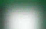 Blurred archive preview