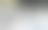 Blurred archive preview