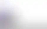 Blurred archive preview
