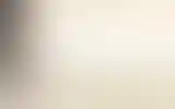 Blurred archive preview