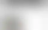 Blurred archive preview
