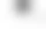 Blurred archive preview