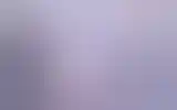 Blurred archive preview