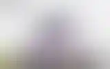 Blurred archive preview